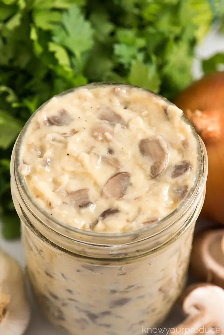 Condensed Cream of Mushroom Soup naturally vegan and can ...