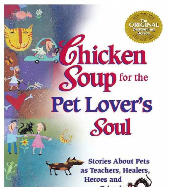 Free download: [Ebook] Chicken Soup for the Soul series