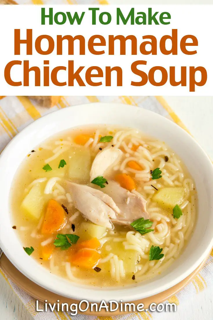 Homemade Chicken And Turkey Soup Recipes