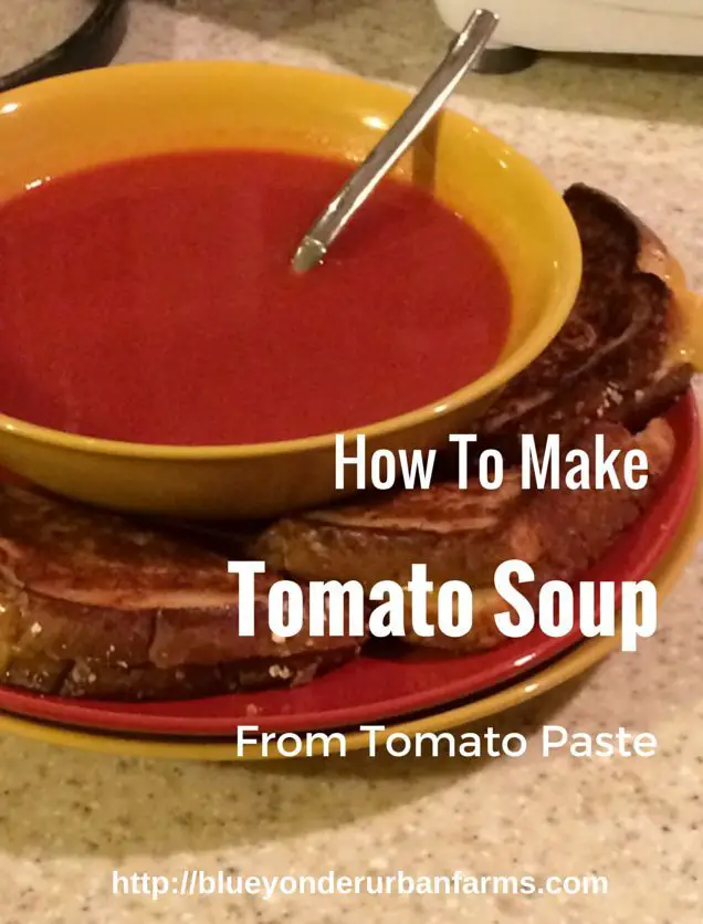 How To Make Tomato Soup From Tomato Paste