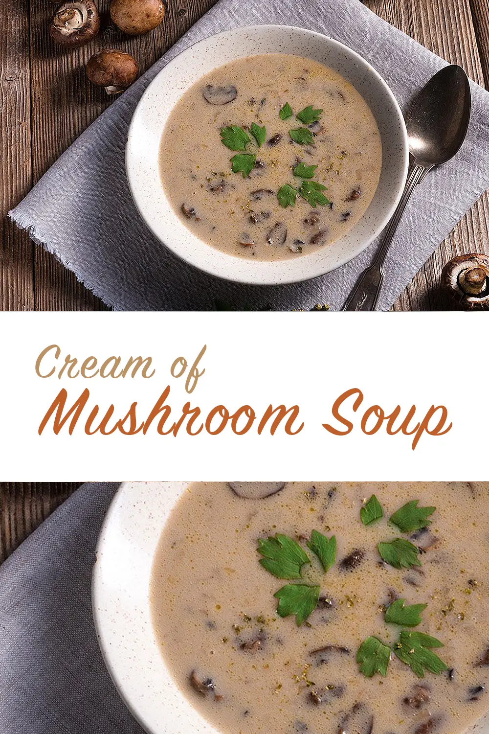 Lactose Free Cream of Mushroom Soup Recipe