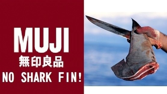 Sign the petition to ban shark fin soup!  Reefers and ...