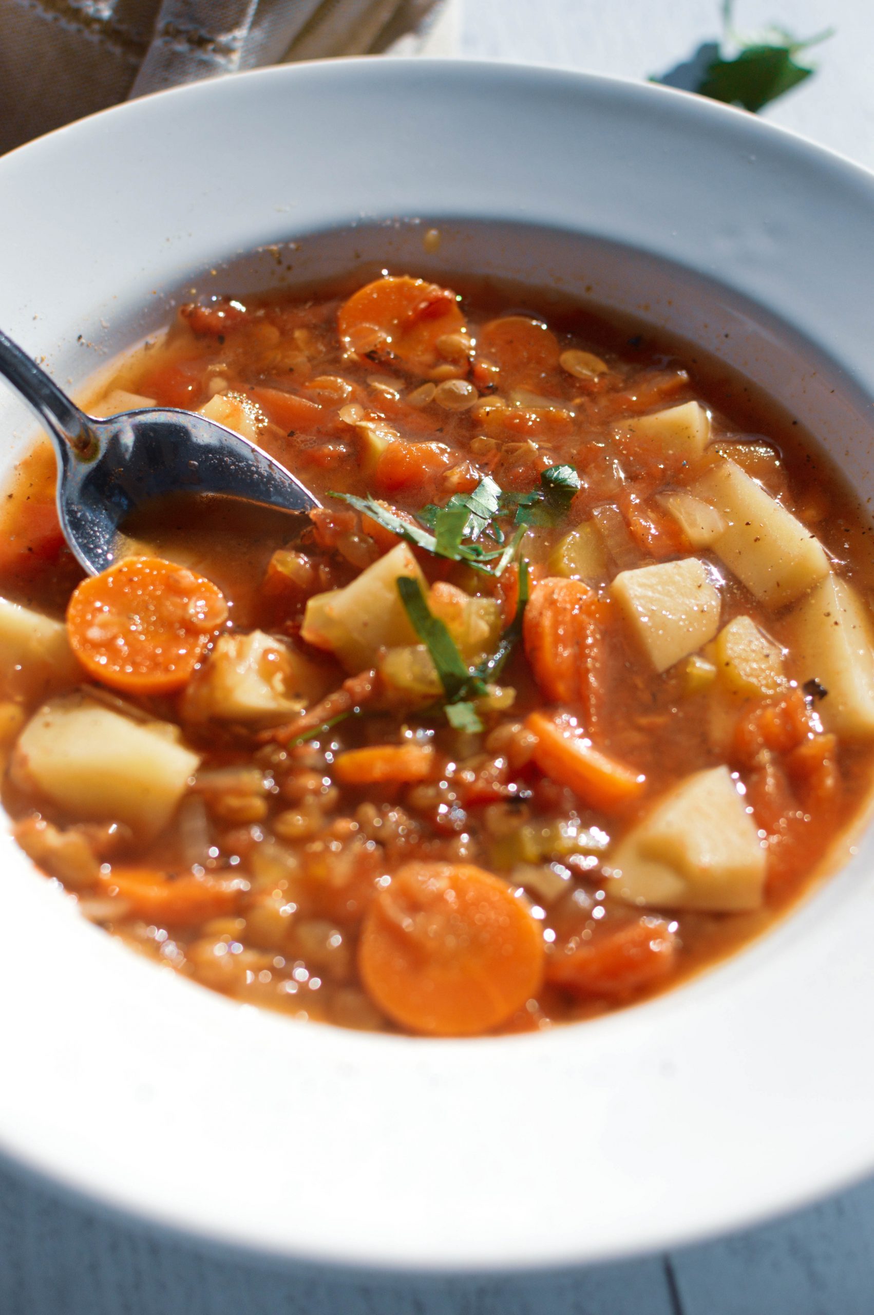 Vegetable Lentil Soup